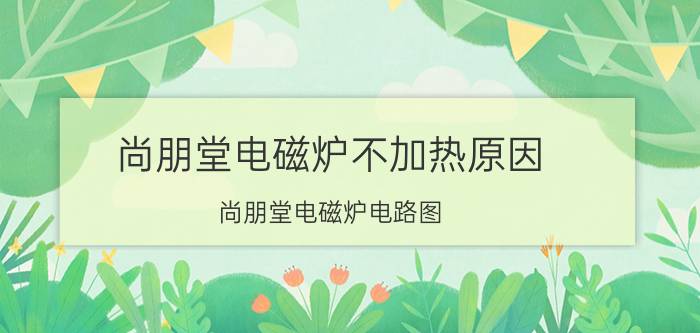 尚朋堂电磁炉不加热原因 尚朋堂电磁炉电路图 尚朋堂电磁炉故障代码